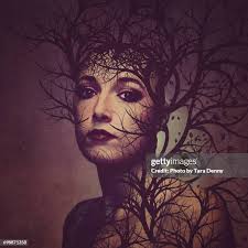 14 Tara Pollard Stock Photos, High-Res Pictures, and Images