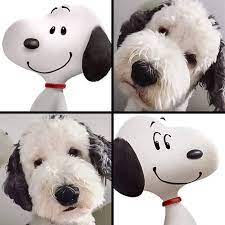 He was chosen by a lonely little boy named charles charlie brown. 11 Cute Dog Breeds That Turned Our Hearts To Mush Cute Dogs Breeds Cute Dogs Sheepadoodle Puppy