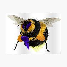 Explore bees (r/bees) community on pholder | see more posts from r/bees community like a cute, fat little fella. Fat Bumblebee Posters Redbubble