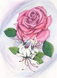June Birthday Card June Flowers Rose Honeysuckle By Blazing Star Studio Flower Drawing Colorful Flower Tattoo Birth Flower Tattoos