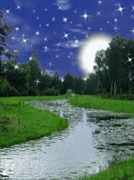 Download and use 10,000+ nature wallpaper stock photos for free. Nature Gif 1920x1080 Page 6 Line 17qq Com