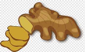 77 sketsa gambar daun lengkap terpopuler dan cara membuatnya. Gingerbread Man Ginger Food Carnivoran Hand Png Pngwing