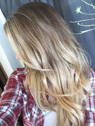 Level 6 Brown Over Natural Blonde Ombre Ombre Hair Long Levels Of Hair Hair Beauty Hair