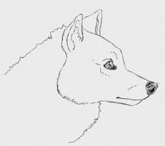 Dog Drawing From The Side Bernard dog using # 2 define other features of your dog's head.