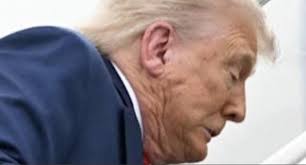 Criticism of Trump's Actions and Their Impact