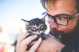 Interactions can be facilitated via webex or facetime to get a sense of the pet's personality. Can Cats Be Emotional Support Animals Esa Doctors