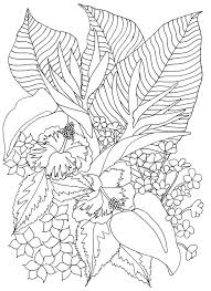 How can you miss the cute little when working on free printable tropical fish coloring pages, don't forget to paint the background. Tropical Coloring Pages