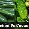 How to cook zucchini 4 ways | eatingwell. 1