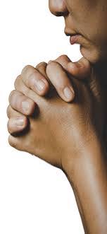 Dylan Peel's Instagram, Twitter & Facebook