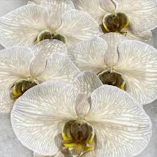 Whether you're looking for a bunch of tulips to brighten up your home or a bespoke bouquet for someone special, we guarantee we can help you put smiles on faces. Dakota Flower Company