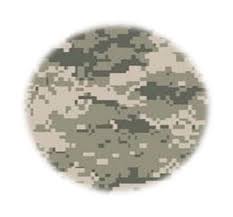 USAREUR Credit Union Liaison Update Defense Credit Union Council Overseas  Sub-Council Brief