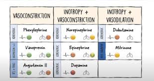 Image result for Vasopressor