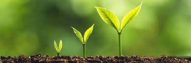 There may also be anomalies in results, especially when assessing growth month to month. How To Calculate Your Company S Sales Growth Rate Textexpander