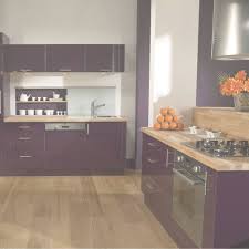 30 Incroyable Plinthe Meuble Cuisine Leroy Merlin Idees Meuble Cuisine Leroy Merlin Meuble Cuisine Cuisine Violet