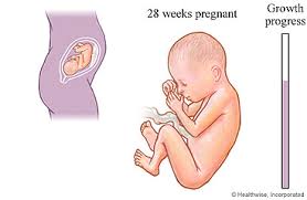 Weeks 26 To 30 Of Your Pregnancy Care Instructions