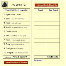 At Home Dog Checkup And Health Chart