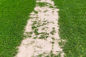 A lack of a food source and breeding area forces insects to migrate elsewhere. The Ultimate Artificial Grass Guide Crown Turf
