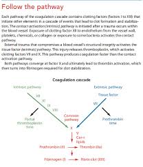 Image result for Anticoagulation Pathway