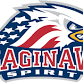 Guelph Storm at Saginaw Spirit