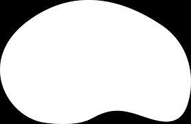 Mai jos vei vedea care sunt pasii pentru efectuarea inspectiei tehnice periodice, actele necesare si. Blk Design System Pro By Creative Tim