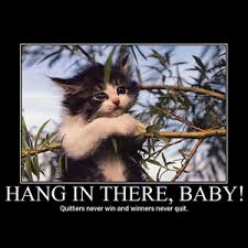 Hang In There Encouragement Quotes Quotesgram