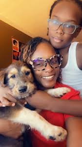 Potty training tips for Shepadoodle?