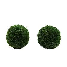 We did not find results for: Admired By Nature Abn5p013 Grn 2 6 In Faux Preserved Artificial Boxwood Ball Topiary Plant Set Of 2 Walmart Canada