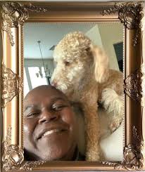 Salisbury steak is a totally scrumptious way to transform the humble ground  beef