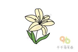 pin by 千千简笔画on 千千简笔画 植物世界