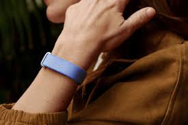Google Launches $100 Fitbit Air Without a Screen to Rival Whoop