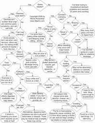 They have different structure and functions. 10 Nursing Study Ideas Nursing Study Human Digestive System Digestive System