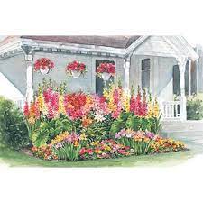 All Summer Blooming Bulb Collection Plan Your Bulb Garden Now Garden Bulbs Summer Bulbs Urban Garden