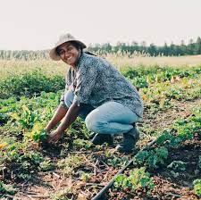 Big River Farms - The Food Group