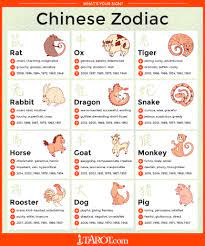 Capricorn zodiac & star sign dates: 2014 Water Dragon Chinese Zodiac Signs Chinese Zodiac Rat Chinese Zodiac