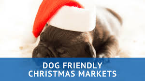 Перевод слова doggy, американское и британское произношение, транскрипция, словосочетания, однокоренные слова, примеры использования. Sit Happens Canine Christmas Scoop Cut N Shovel