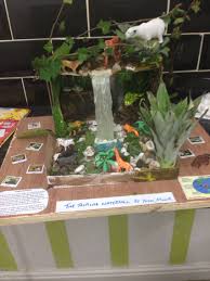 Model Tropical Rainforest Diorama Kids Ecosystems Projects Biomes Project
