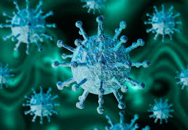 Leronlimab belongs to a group of hiv drugs called ccr5 antagonists.2. Baylor University Medical Center Investigates Safety Efficacy Of Leronlimab In Severe To Critical Covid 19
