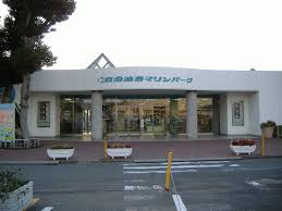 See more ideas about jujutsu, anime, jujitsu. äº¬æ€¥æ²¹å£ºãƒžãƒªãƒ³ãƒ'ãƒ¼ã‚¯ Wikipedia