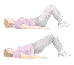Image result for ‫ورزش عضلات لگن‬‎