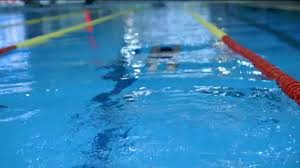 We did not find results for: Uszas Stock Videok Jogdijmentes Uszas Felvetelek Depositphotos