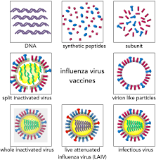 We therefore welcome all interested parties to join this effort and help us save people's lives. Vaccines Free Full Text Influenza Vaccination Strategies Comparing Inactivated And Live Attenuated Influenza Vaccines