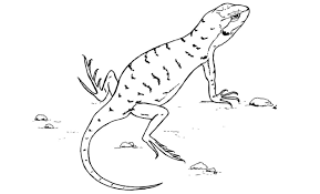 You will not receive a physical item. Coloring Pages Arches National Park U S National Park Service