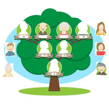Free family tree · instant discoveries™ · 24/7 support Family Tree Activity For Preschool