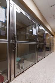 Pin By Dvm360 Com On Boarding Veterinary Hospital Design Dog Boarding Ideas Hospital Design Veterinary