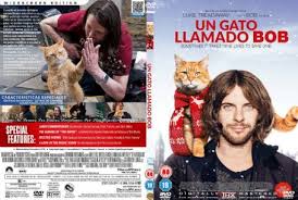 Part of me was convinced that the 'cat lady' across the street was right and he was a family pet. A Street Cat Named Bob 2016 Cast And Crew Trivia Quotes Photos News And Videos Famousfix