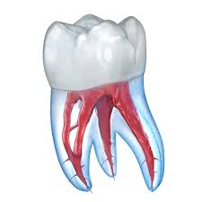 The unlock project aims to equip higher education institutions designing and facilitating escape room games within their learning experiences, to foster the . Dental 3d Illustrations For Patient Education Apk Update Unlocked Apkzz Com