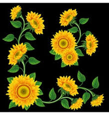 Greatbigcanvas.com has been visited by 10k+ users in the past month Sunflower With Black Background Vector Images Over 2 100