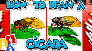 Cicada tattoo butterfly coloring page insect art beetle insect bug art bugs and insects free printable coloring pages tattoo sketches gravure. How To Draw A Cicada Insect Art For Kids Hub
