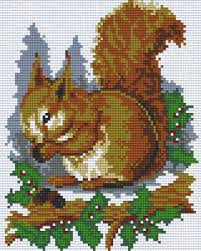 Ecureuil Enfant Ids Pixelhobby