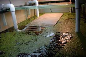 Tile Pvc Turtle Basking Platform Petdiys Com Turtle Basking Platform Fish Pond Gardens Turtle Habitat